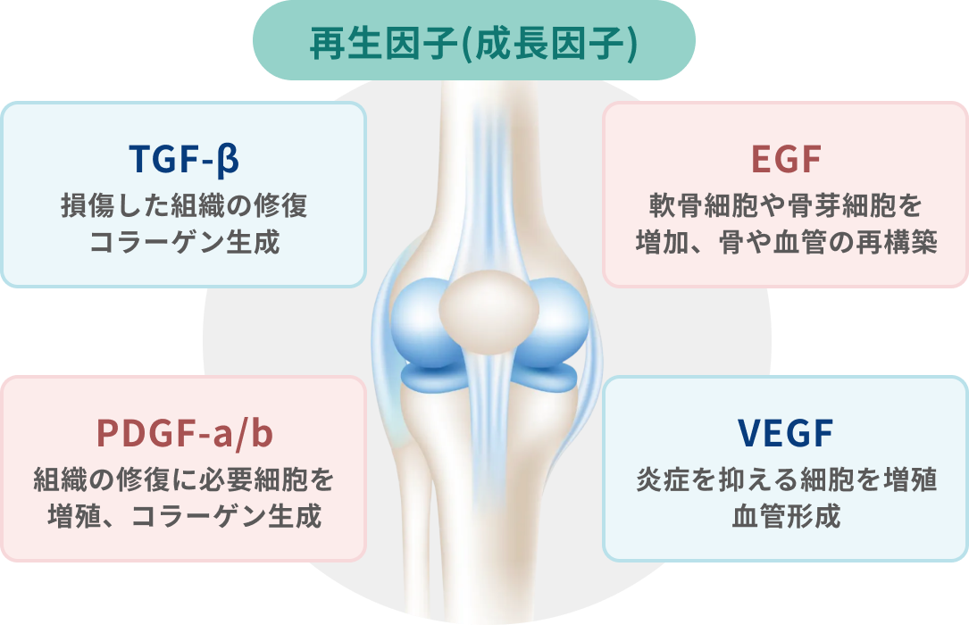 成長因子の構成