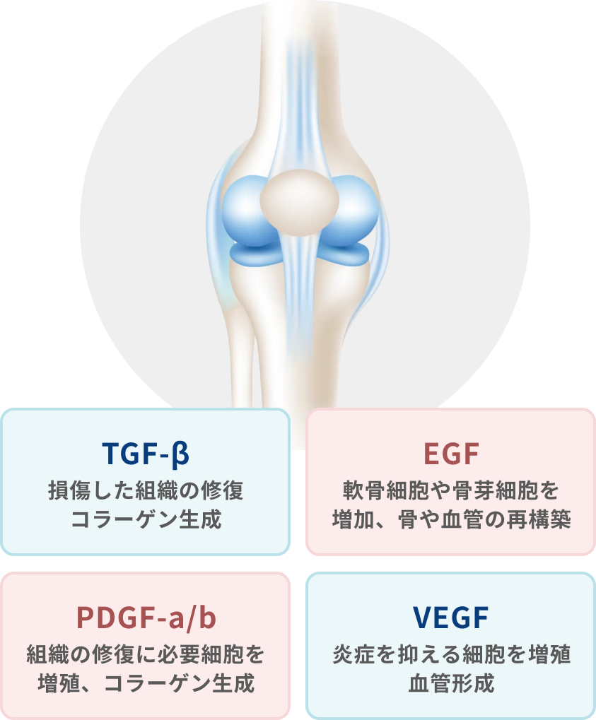 成長因子の構成